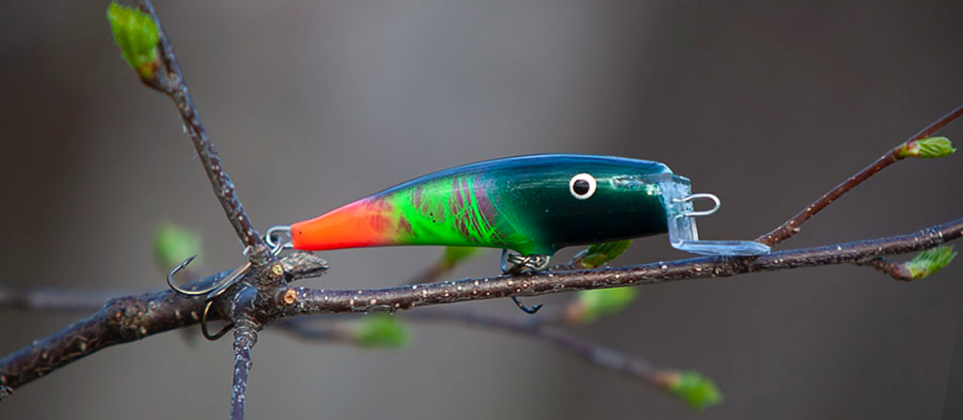 Tiura, ottivaappu, Luossa.fi