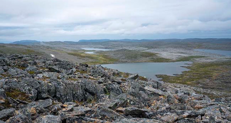 Utsjoki.fi, Kalaan Norjaan