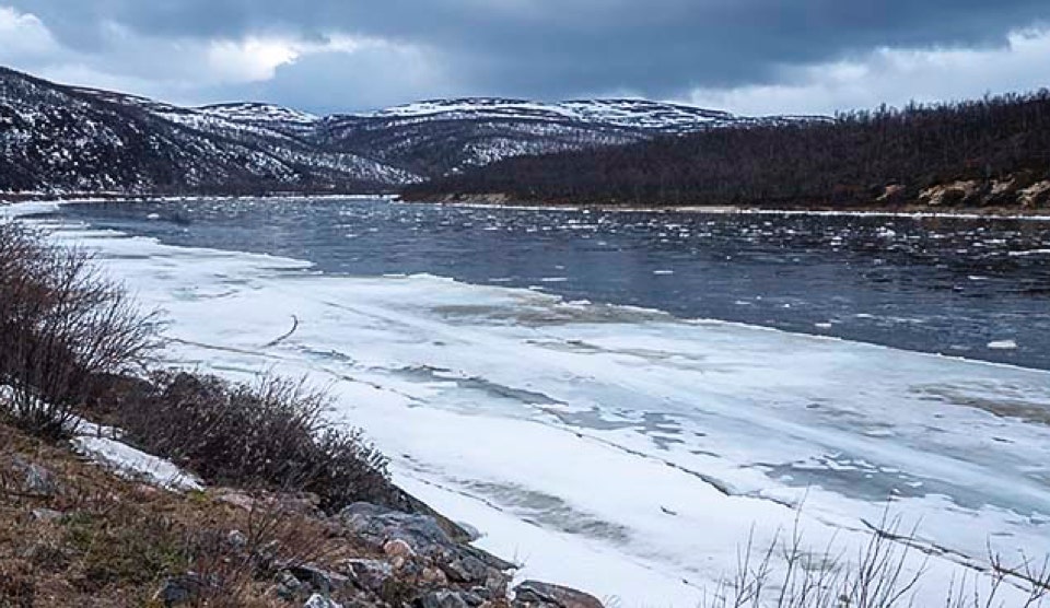 Tenojoki on Euroopan suurin ja paras kyttyrälohijoki